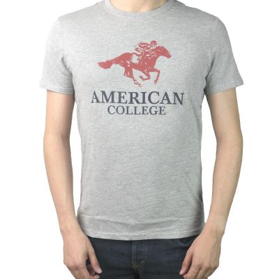 T-SHIRT AMERICAN COLLEGE GRIS