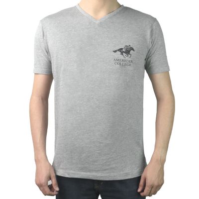 T-SHIRT AMERICAN COLLEGE GRIS